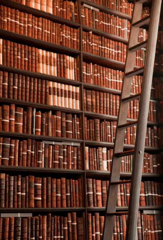 biblioteca inteligencia_1